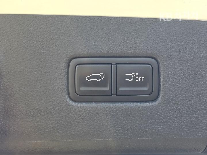 Kia Carnival D2.2 Noblesse 9