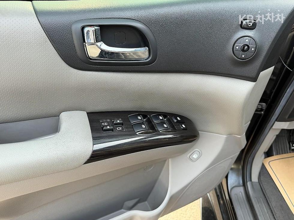 2010 - kia carnival