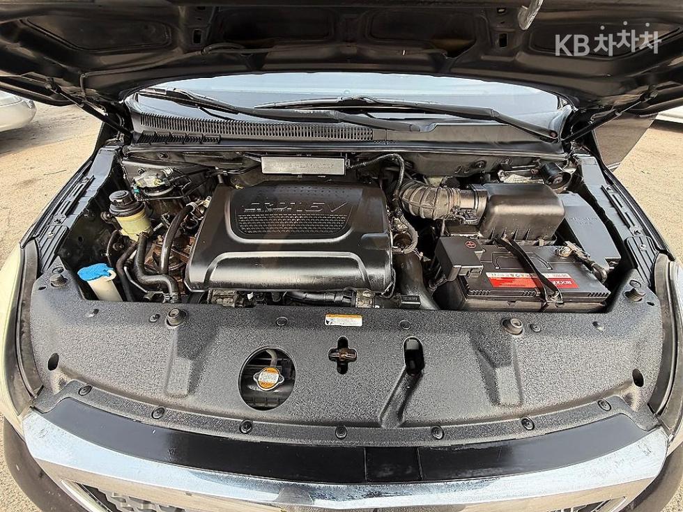 2010 - kia carnival