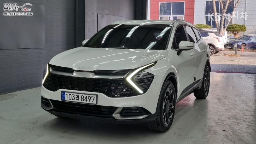 2023 kia sportage