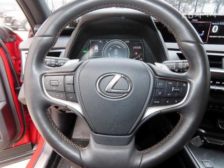 Lexus UX 300e Base Type 9