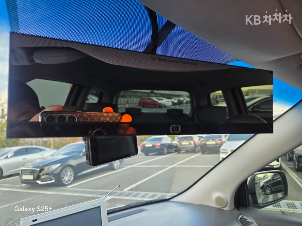2011 - kia carnival
