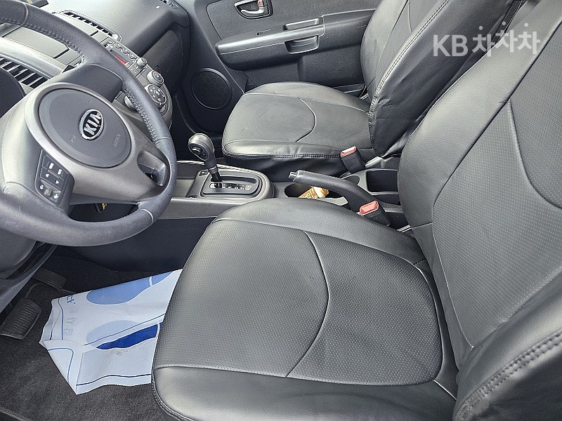 2010 - kia soul