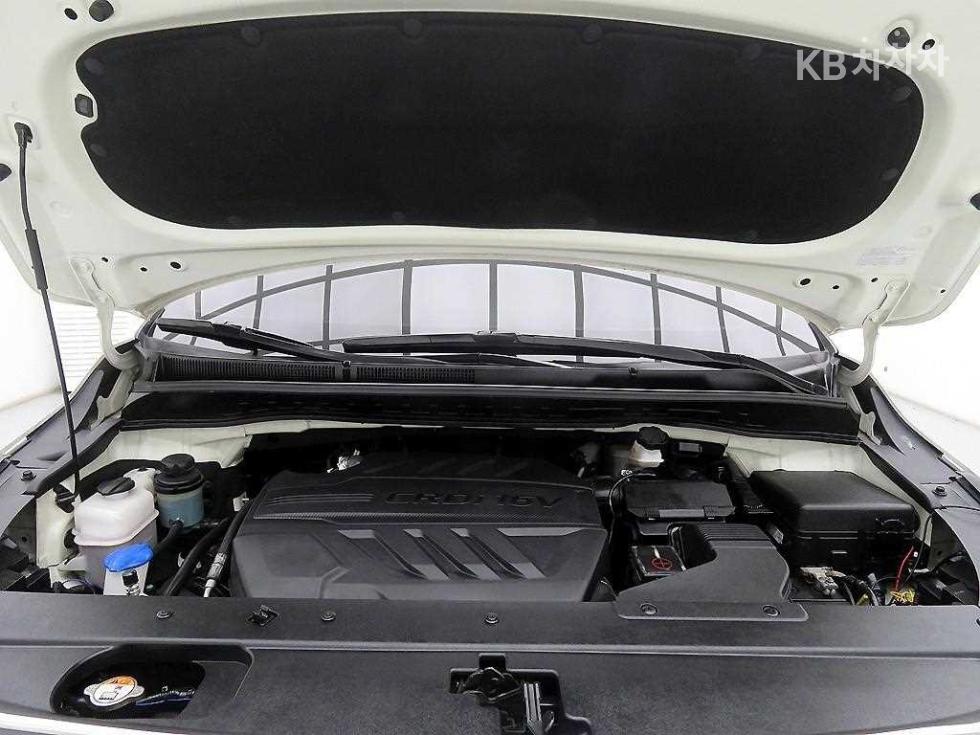 2019 - kia carnival