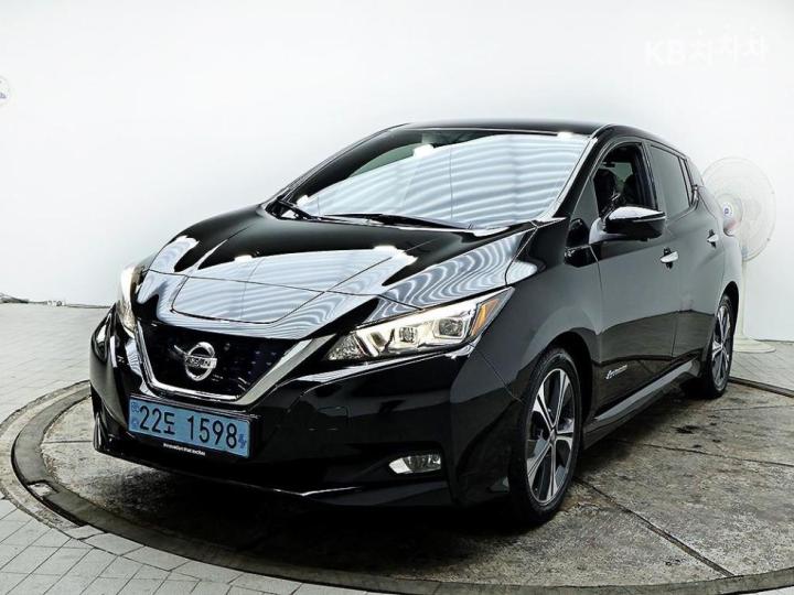 Nissan Leaf New S 3
