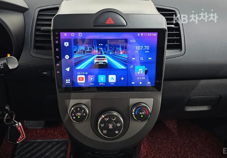 2010 - kia soul