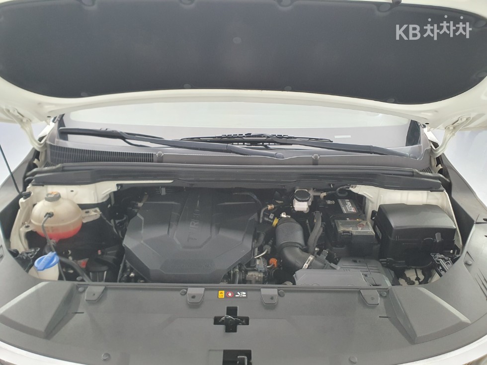 2021 - kia carnival