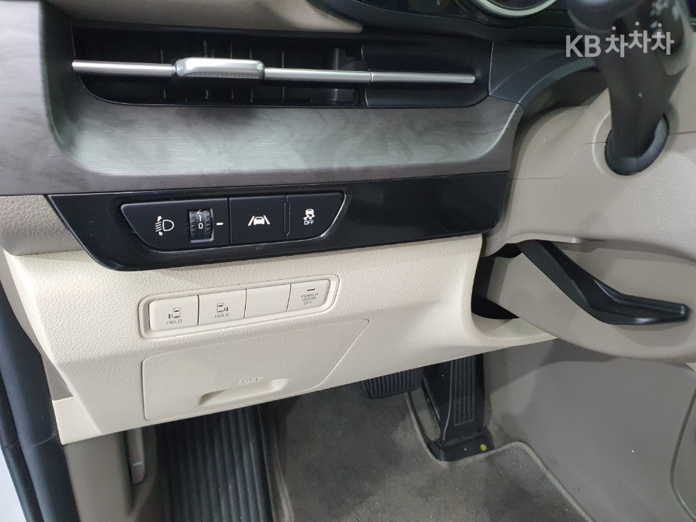 2021 - kia carnival
