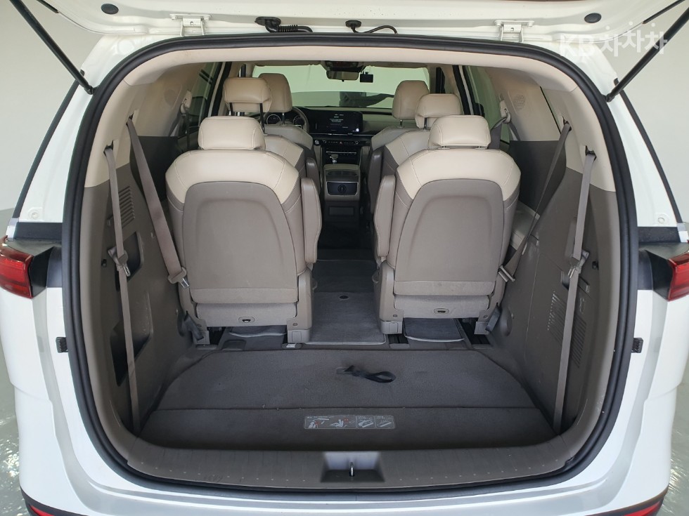 2021 - kia carnival
