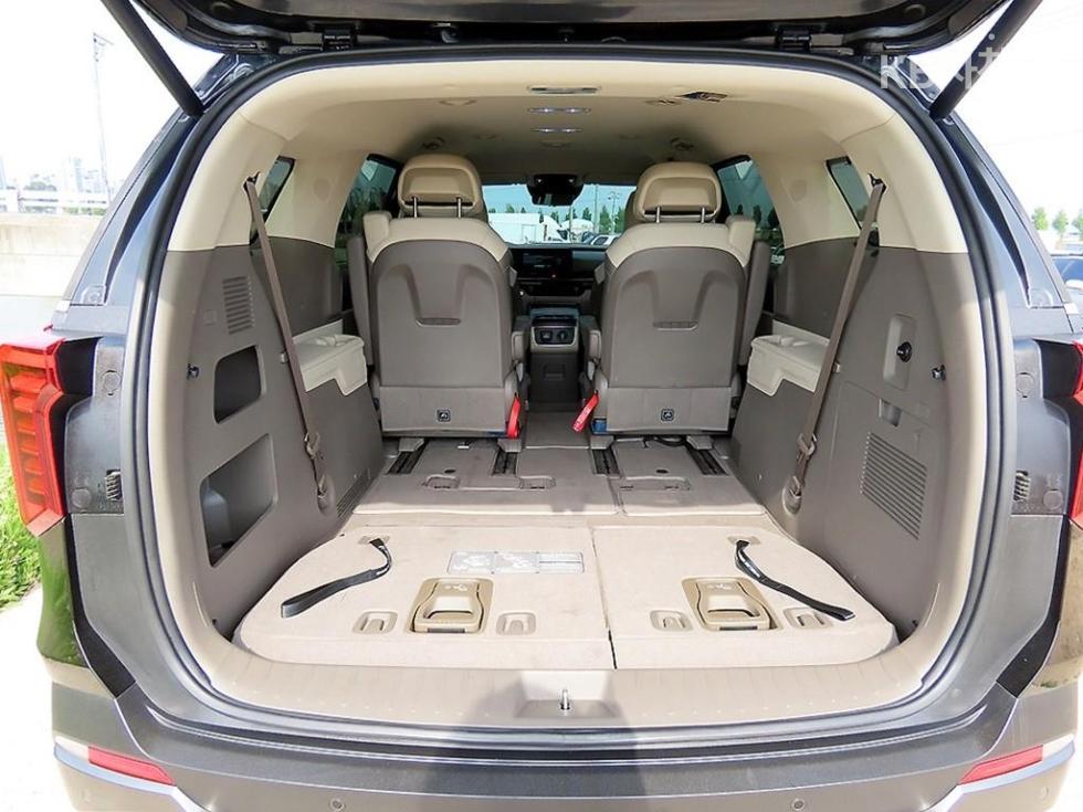 2024 - kia carnival