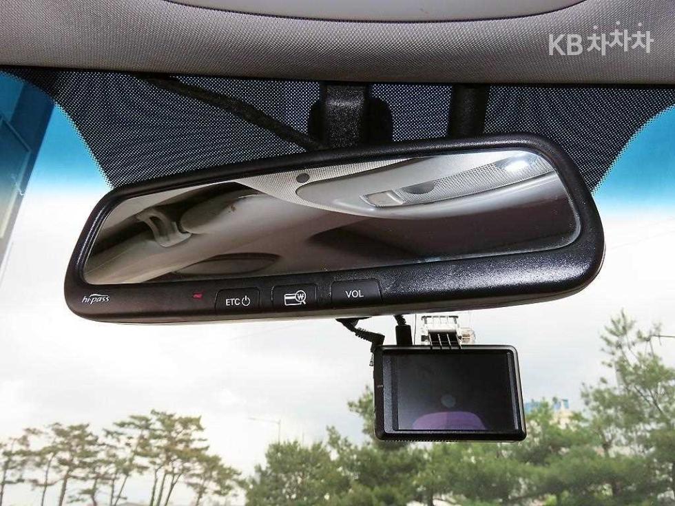 2010 - kia carnival