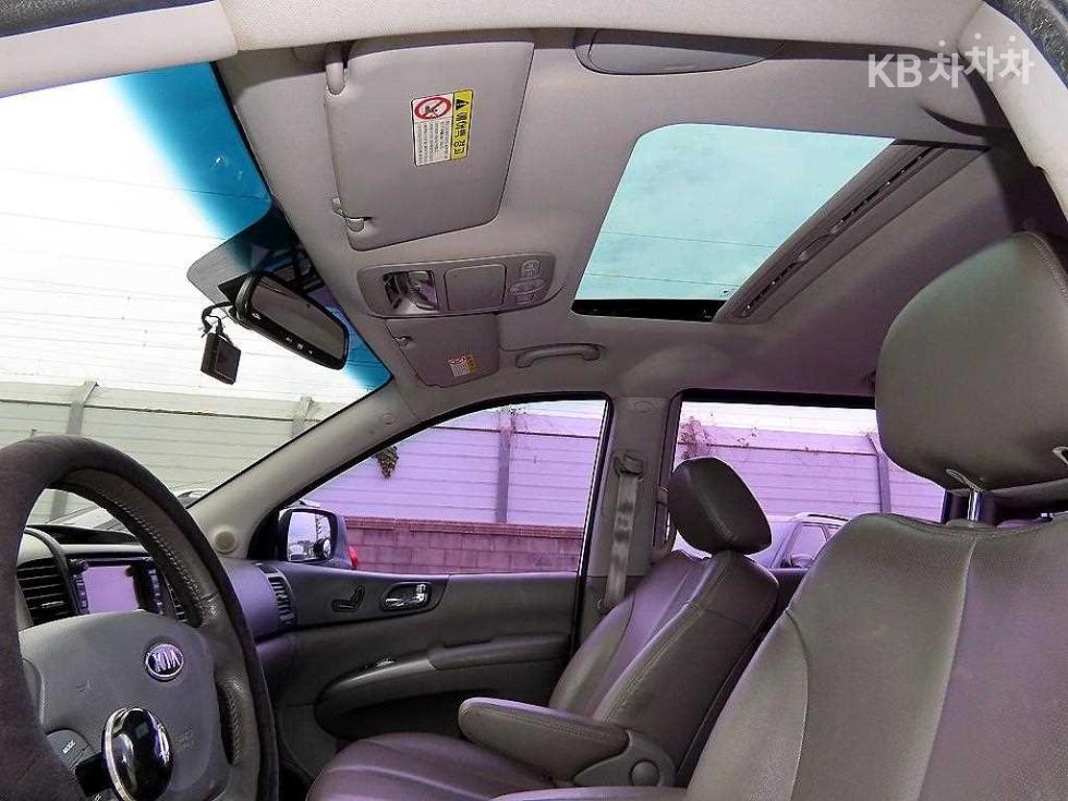 2010 - kia carnival