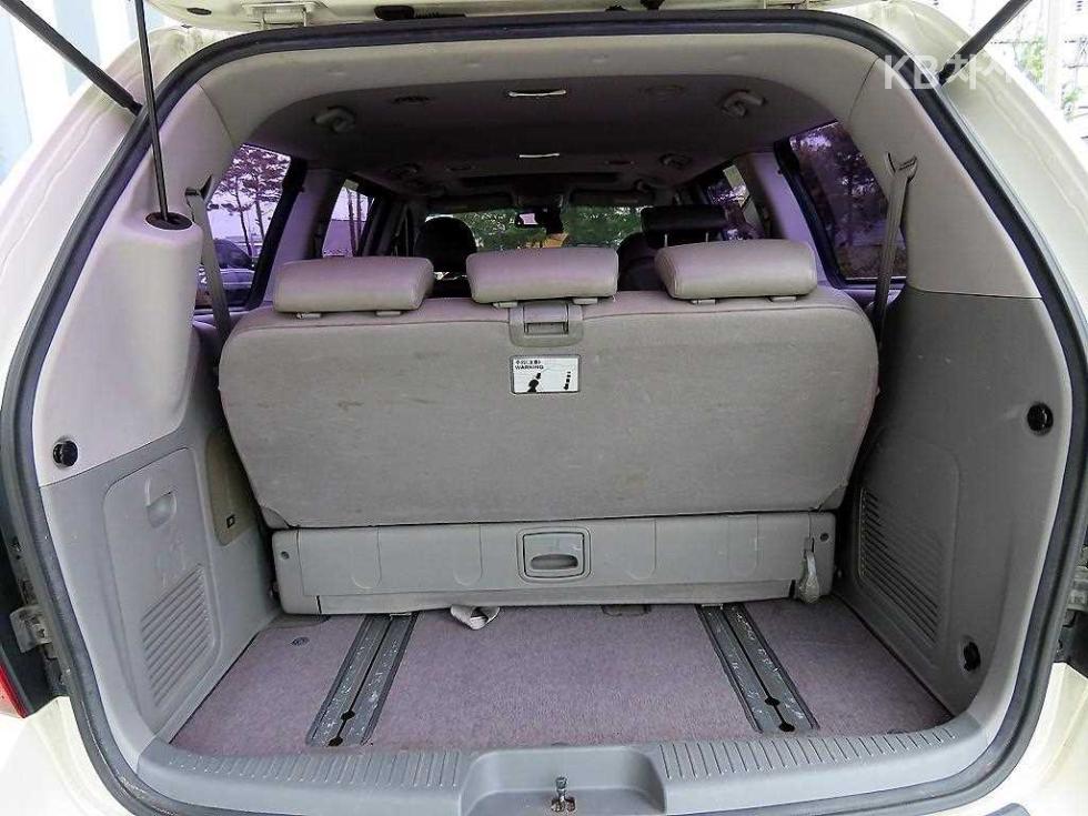 2010 - kia carnival