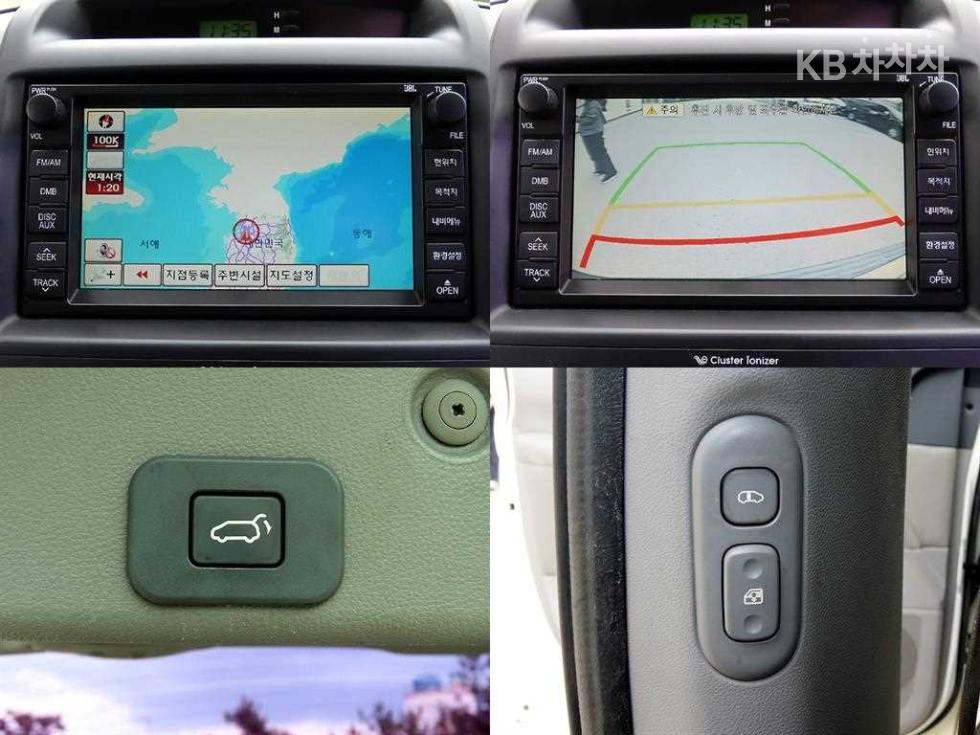2010 - kia carnival