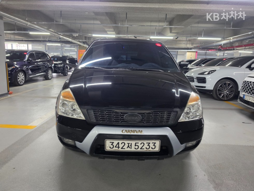2011 - kia carnival