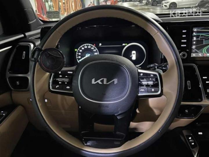 Kia Sorento Hybrid 1.6 HEV Noblesse 9