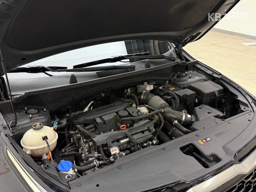 2023 - kia sportage