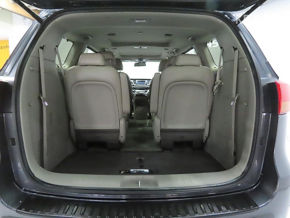 2018 - kia carnival