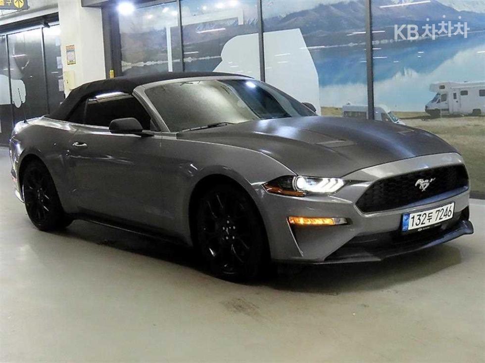 2019 Used Car — Korean used car export from SH GLOBAL
