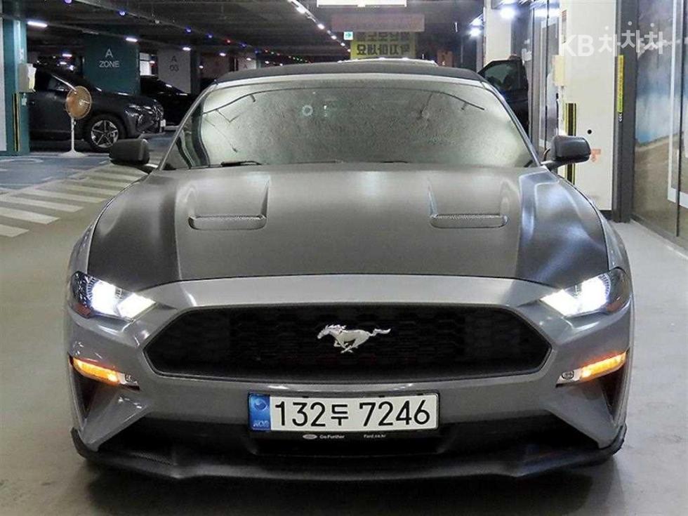 2019 Ford Used Car photo