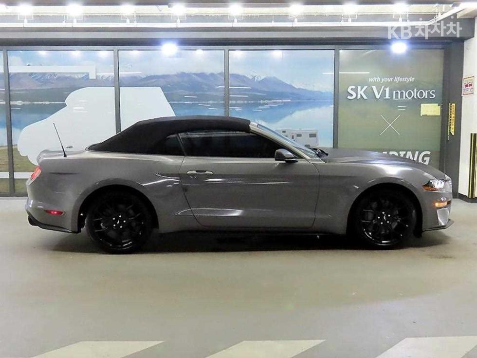 2019 Ford Used Car photo