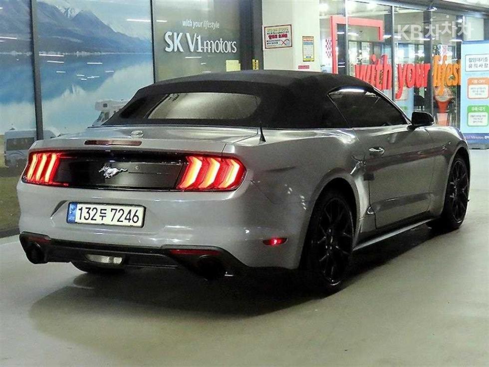 2019 Ford Used Car photo