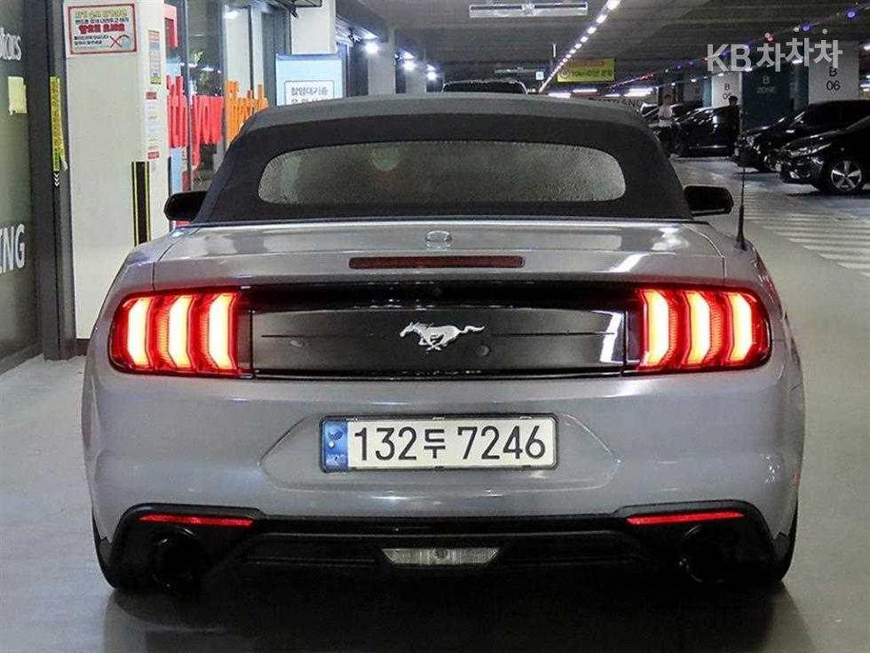 2019 Ford Used Car photo