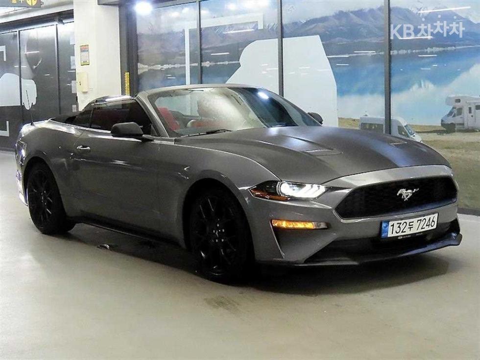 2019 Ford Used Car photo
