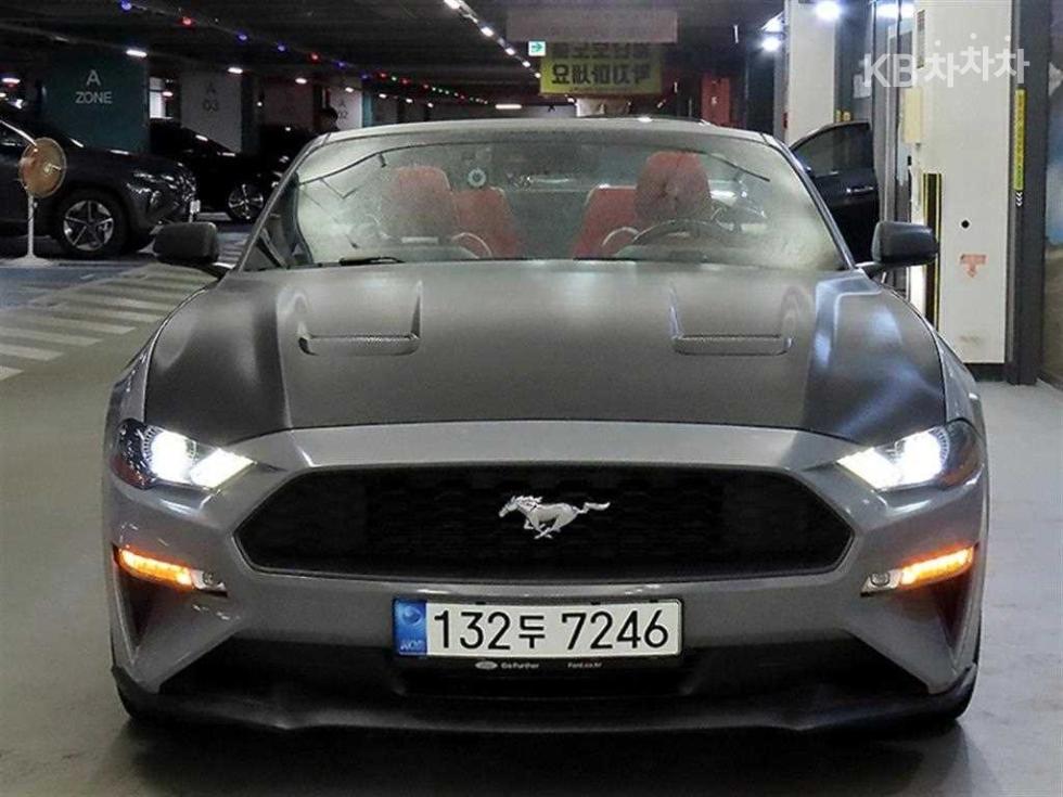 2019 Ford Used Car photo