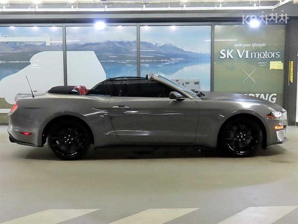 2019 Ford Used Car photo