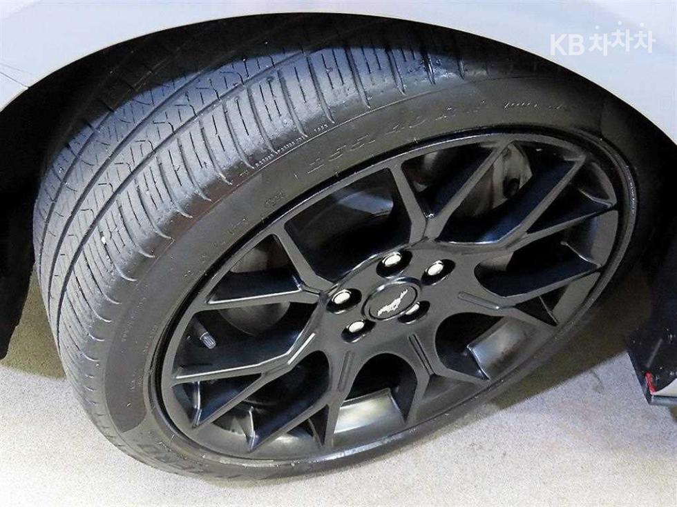 2019 Ford Used Car photo