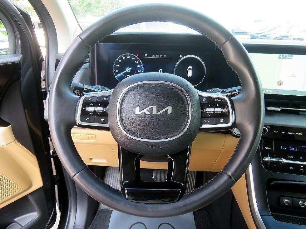 Kia Carnival — miniaturë 11