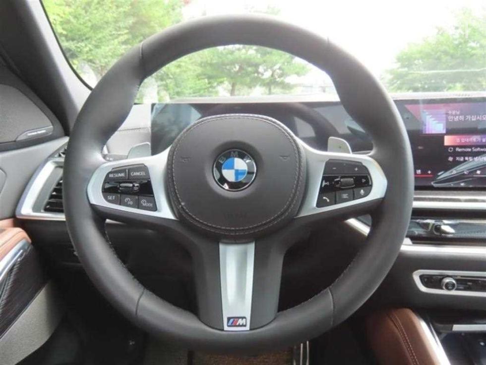 BMW X6 — miniaturë 16