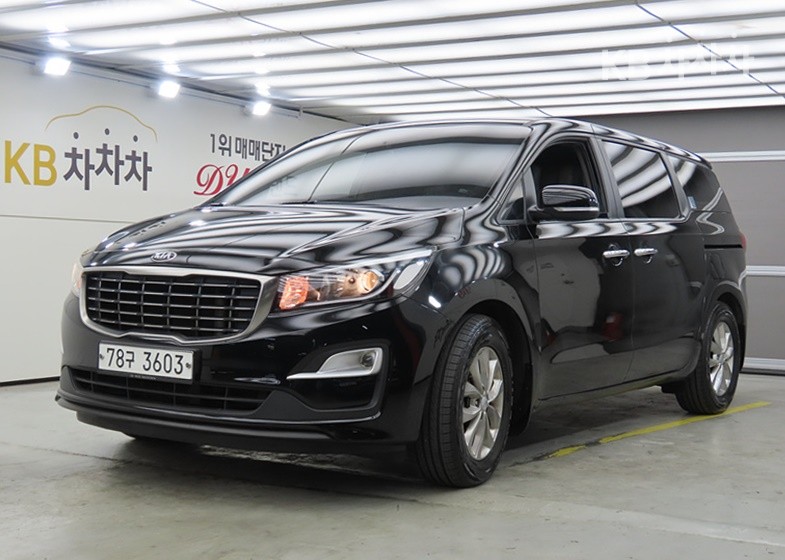 Kia Carnival Deluxe — фото 1
