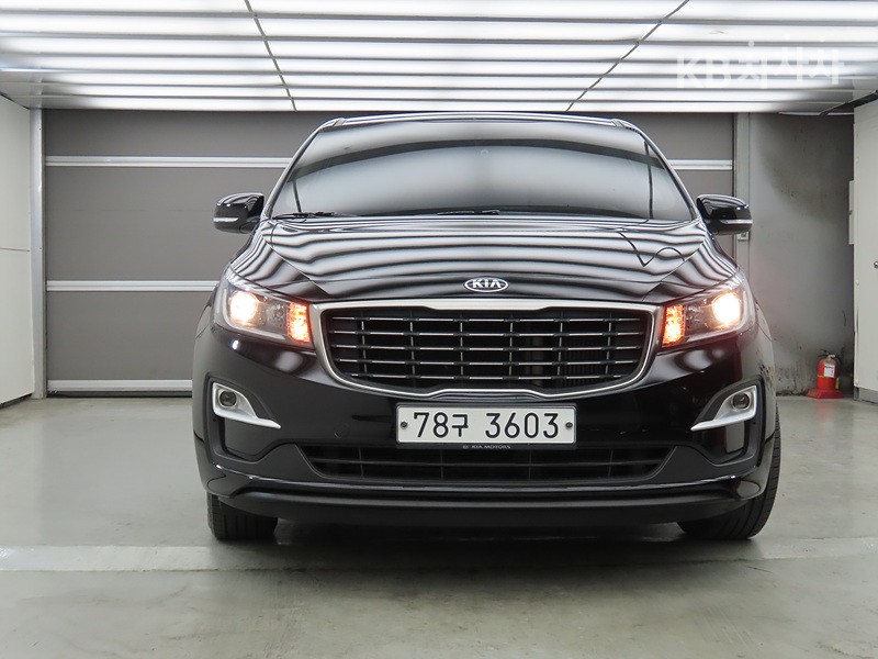 Kia Carnival Deluxe — фото 2