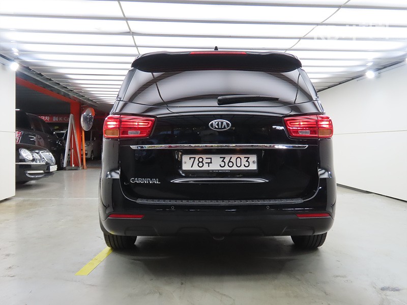 Kia Carnival Deluxe — фото 3