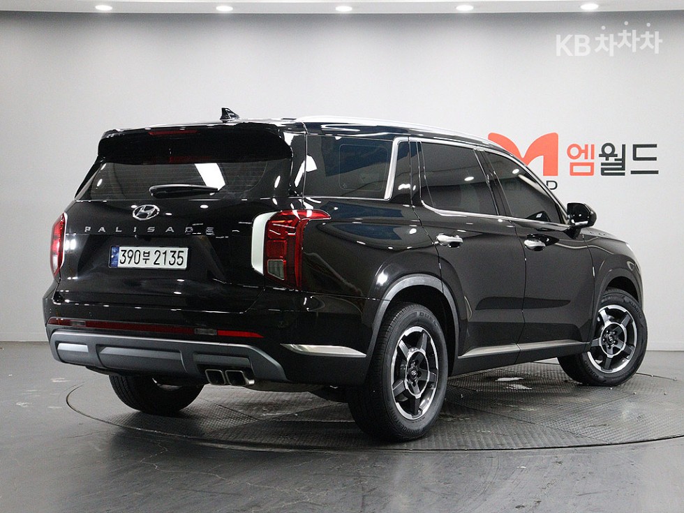 Hyundai Palisade EXCLUSIVE — фото 3