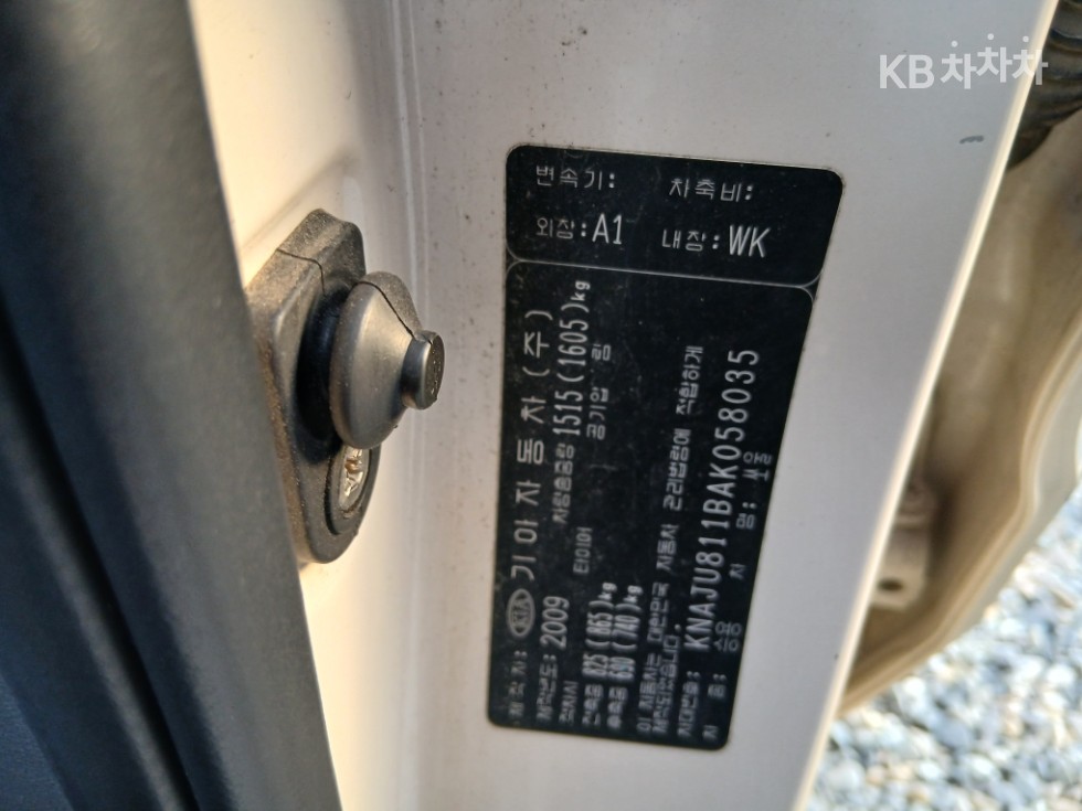2010 - kia soul