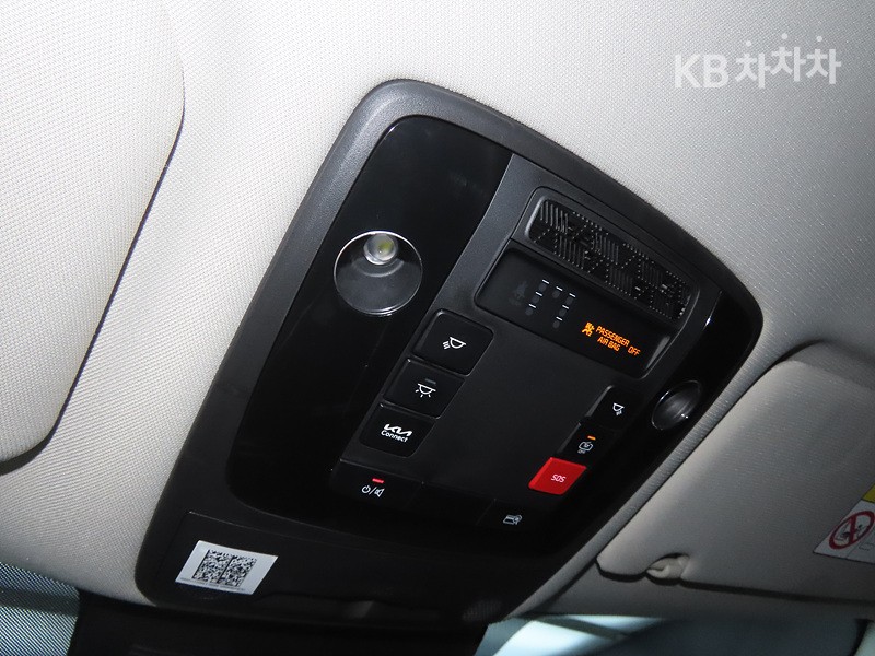 2024 - kia carnival