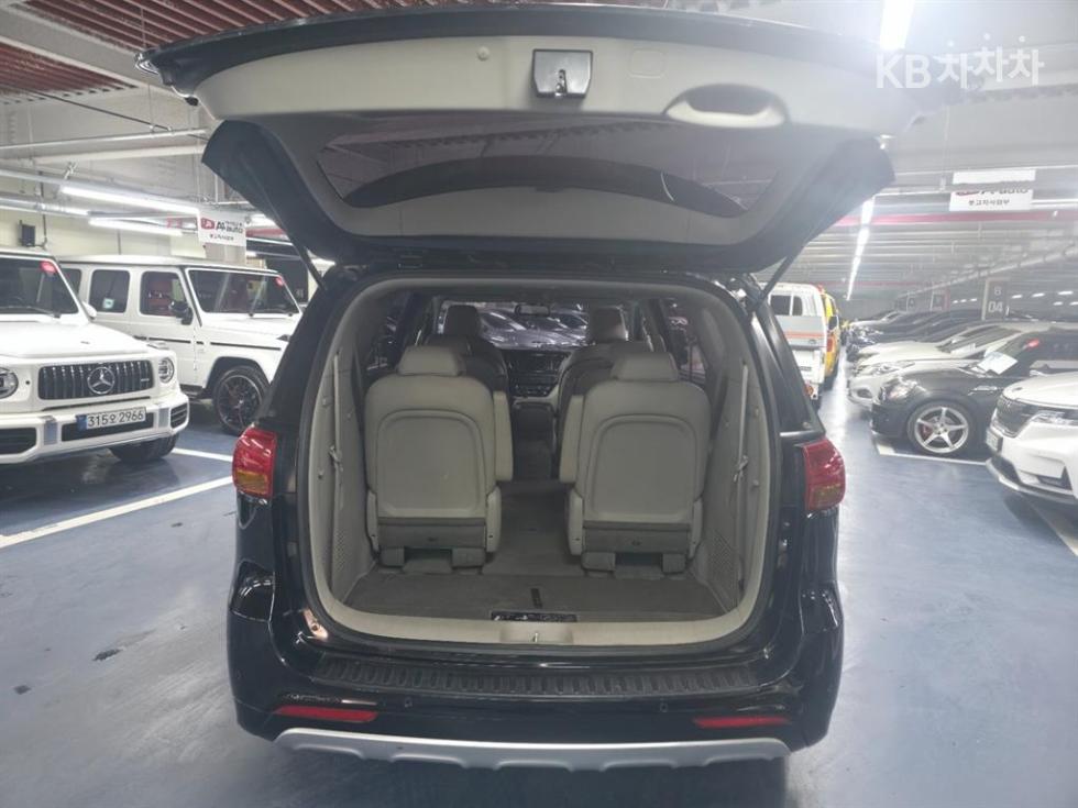 2018 - kia carnival