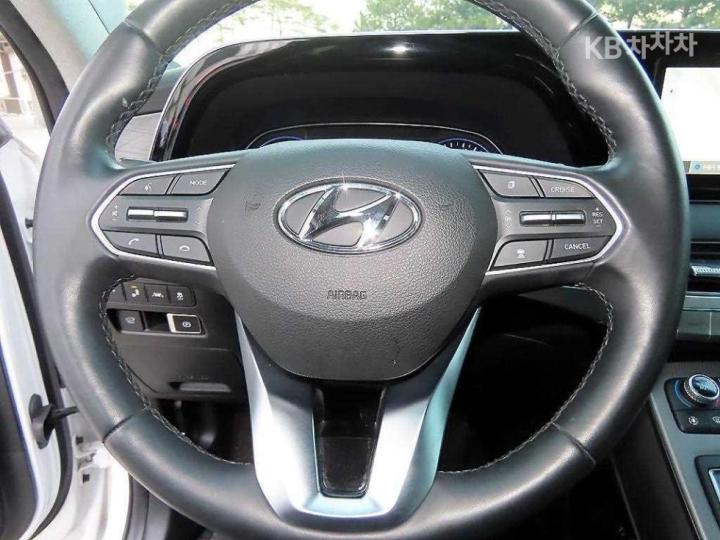 Hyundai Palisade 2.2 Diesel Prestige 9
