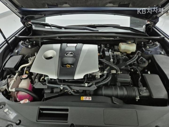 Lexus ES New Generation 300h Luxury+ 6