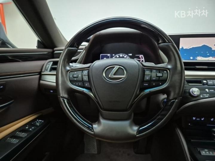 Lexus ES New Generation 300h Luxury+ 10