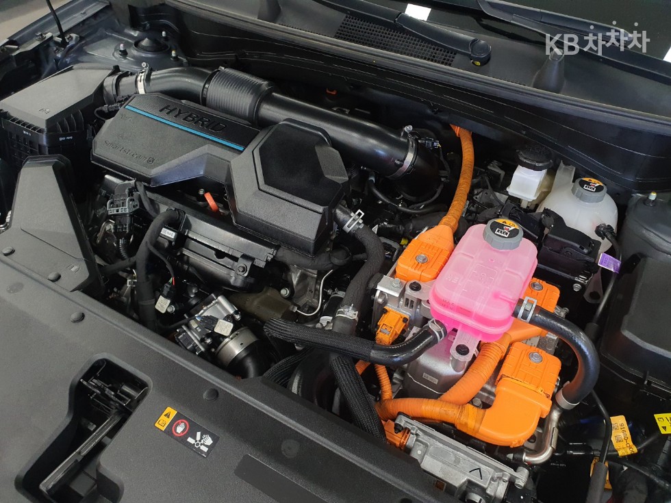 2023 - kia sportage
