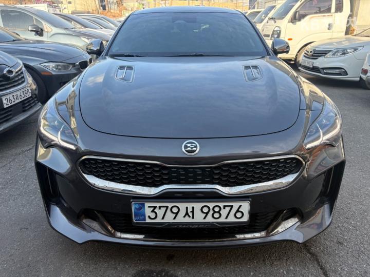 Kia Stinger Meister 2.5 Gasoline Turbo 2WD Masters
