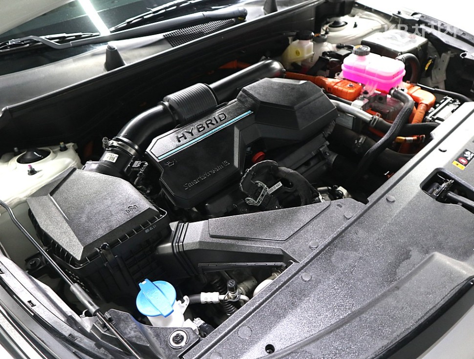 2024 - kia sportage