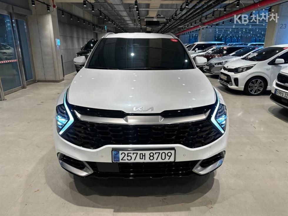 2024 - kia sportage