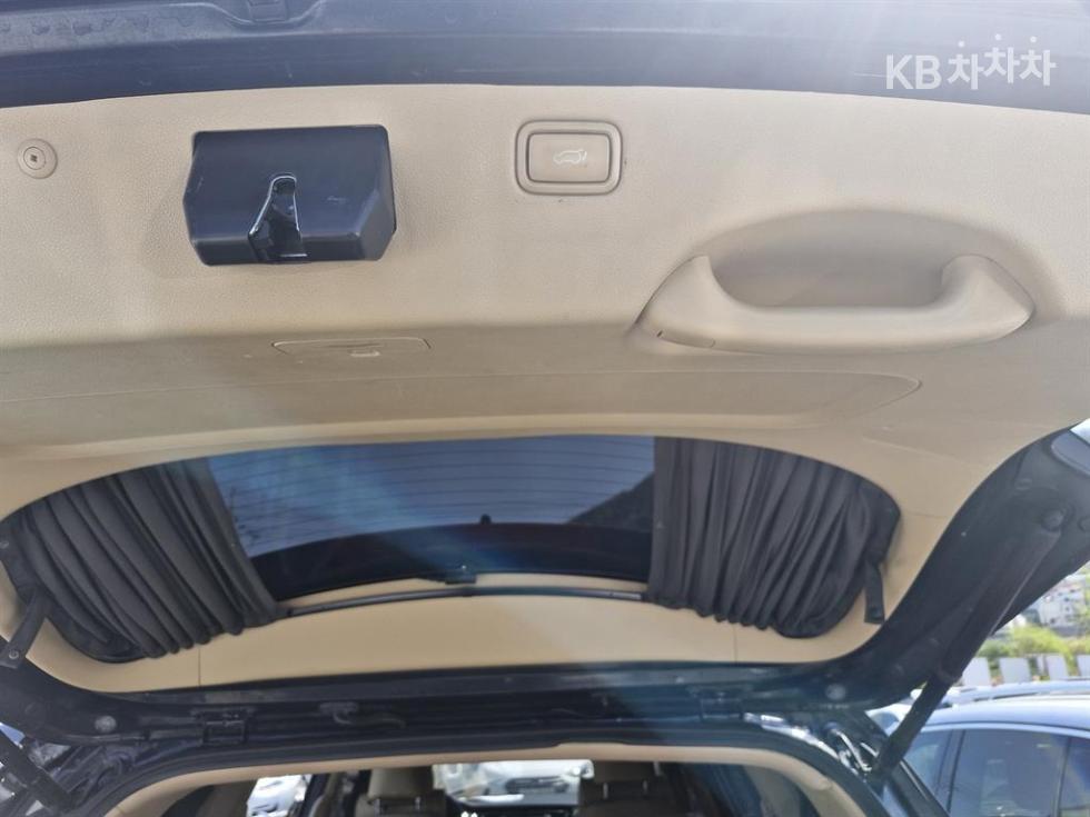 2017 - kia carnival
