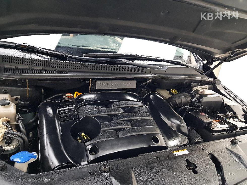 2008 - kia carnival