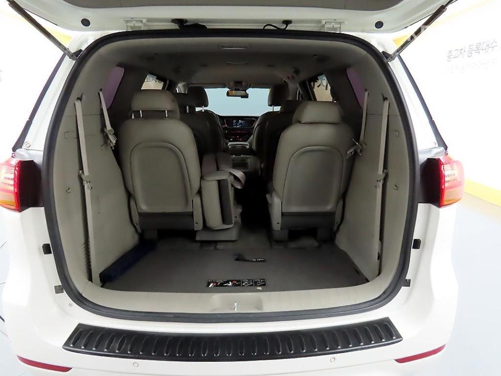 2018 - kia carnival